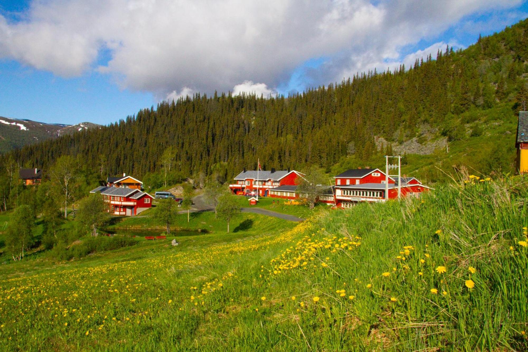 Gronolen Fjellgard Hotel Beitostolen ภายนอก รูปภาพ